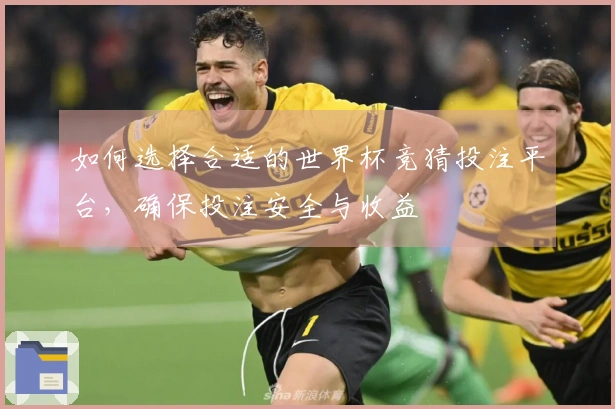 如何选择合适的世界杯竞猜投注平台，确保投注安全与收益