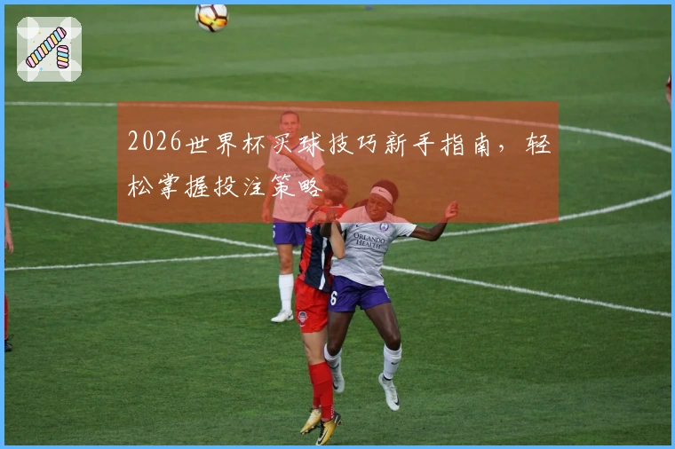 2026世界杯买球技巧新手指南，轻松掌握投注策略
