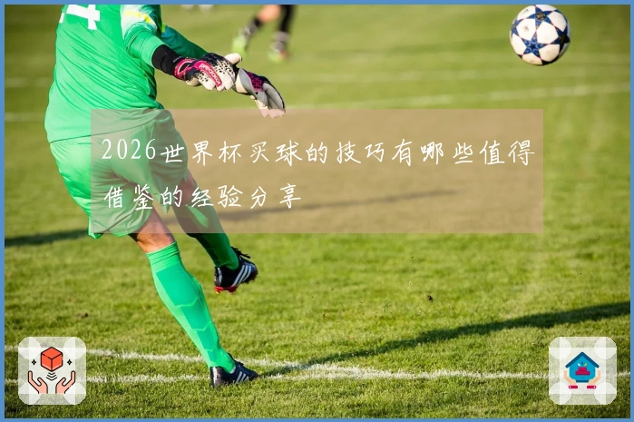 2026世界杯买球的技巧有哪些值得借鉴的经验分享