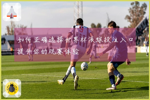 如何正确选择世界杯滚球投注入口提升你的观赛体验