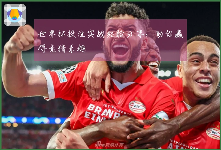 世界杯投注实战经验分享，助你赢得竞猜乐趣