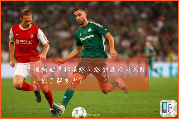 揭秘世界杯滚球买球的技巧与风险，你了解多少？