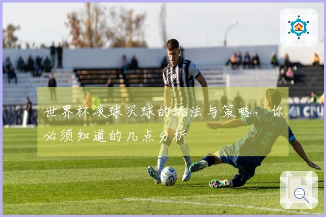 世界杯滚球买球的玩法与策略，你必须知道的几点分析